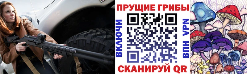 Купить Гудермес Галлюциногенные грибы Psilocybe