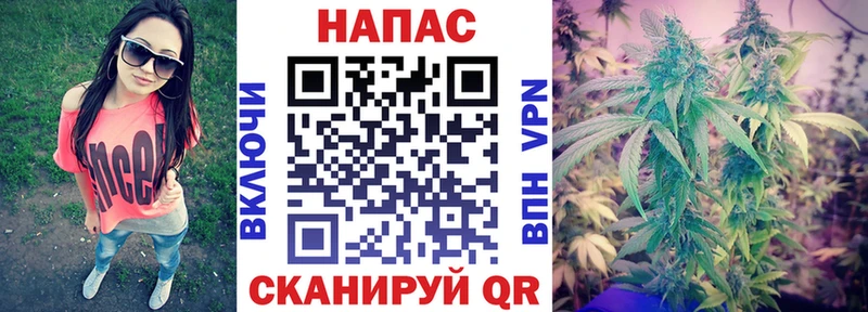 Купить где  Гудермес  Бошки марихуана AK-47 